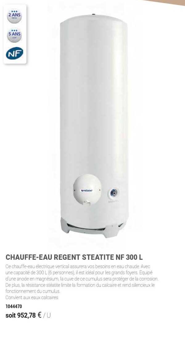 chauffe-eau regent steatite nf 300 l