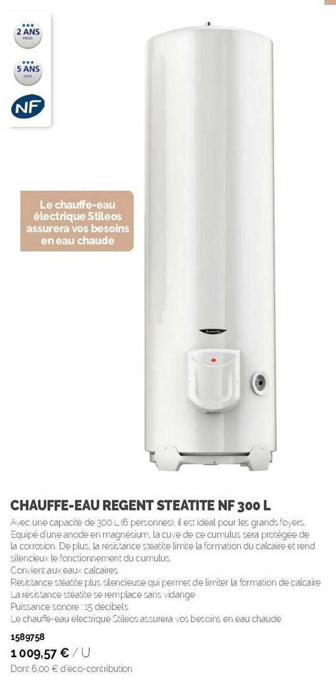 chauffe-eau regent steatite nf 300 l