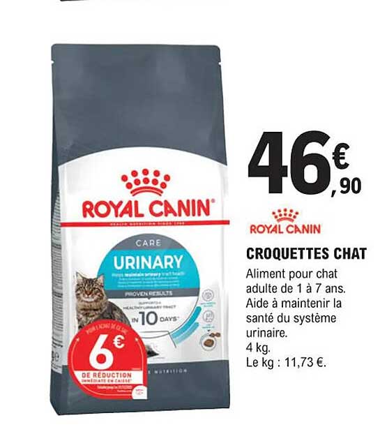 croquettes chat royal canin