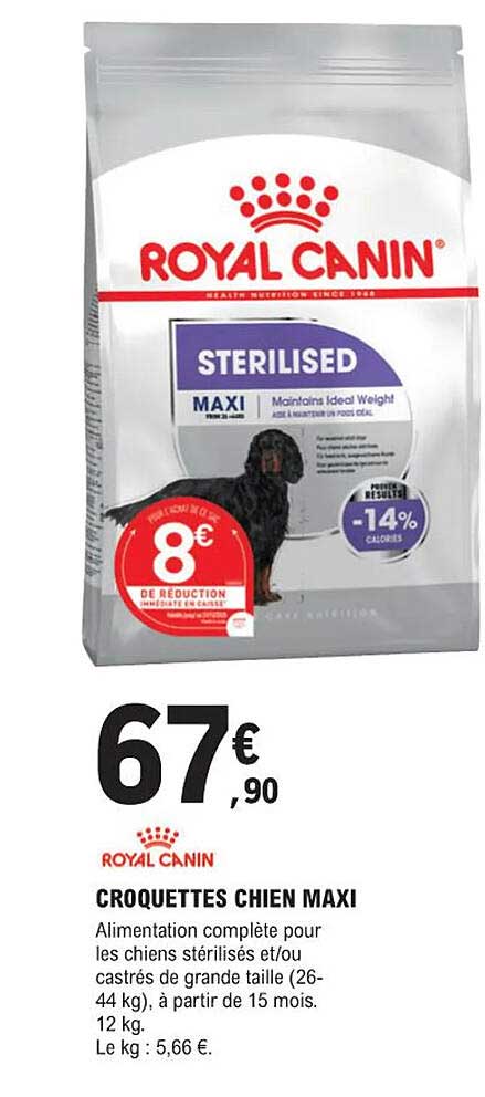 croquettes chien maxi royal canin