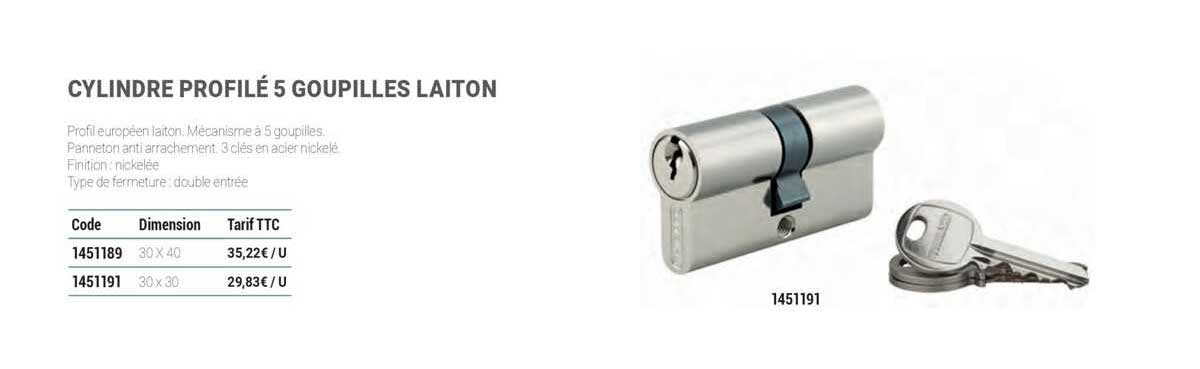 cylindre profilé 5 goupilles laiton