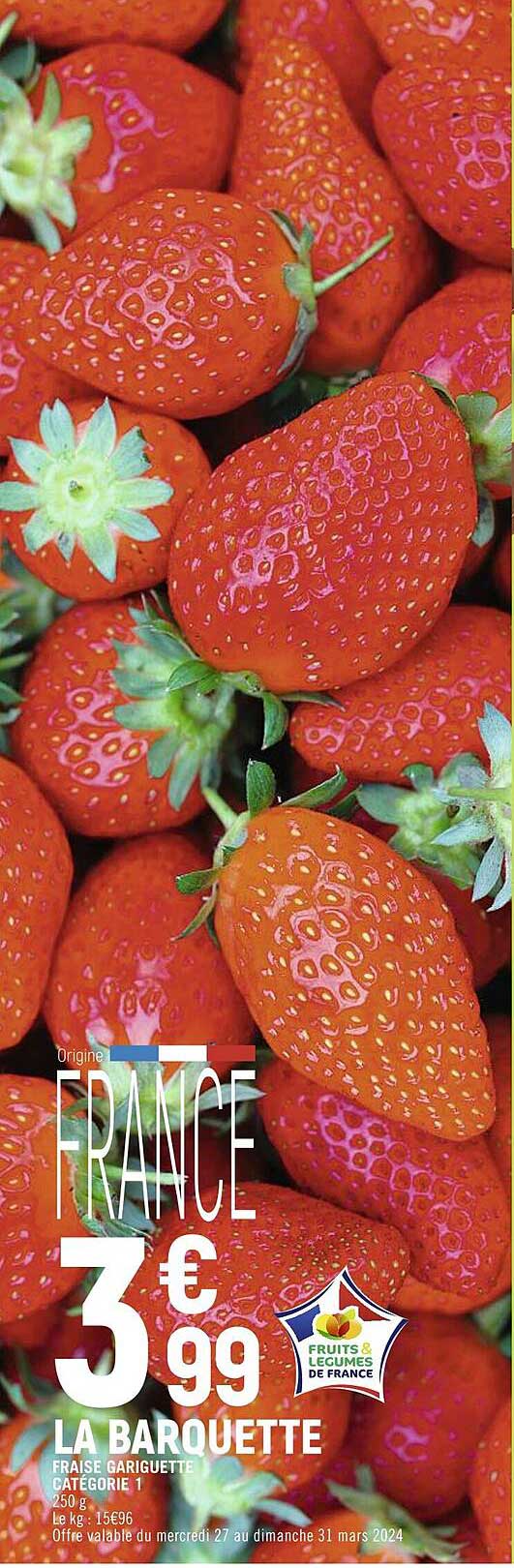 fraise gariguette catégorie 1