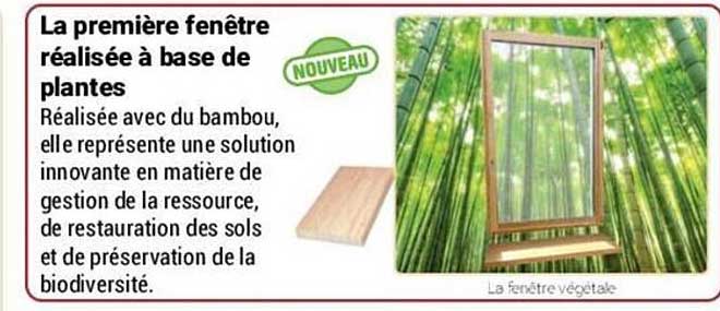 la première fenêtre réalisée à base de plantes