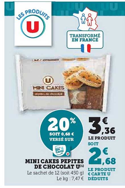 Mini Cakes Pépites De Chocolat U