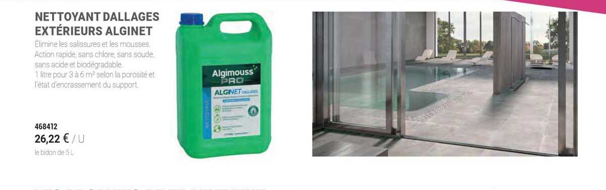 nettoyant dallages extérieurs alginet