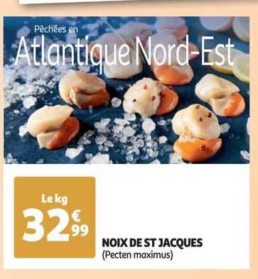 noix de st jacques