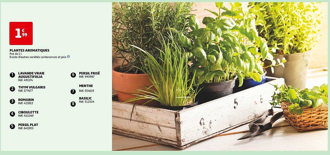 plantes aromatiques : lavande vraie augustifolia, thum vulgaris, romarin, ciboulette, persil plat, persil frisé, menthe, basilic