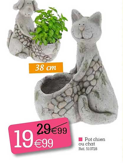 Pot Chien Ou Chat