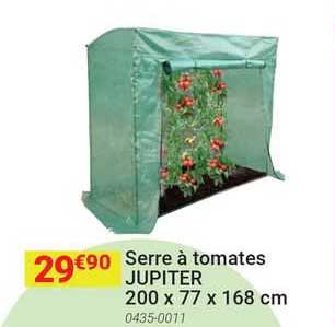 serre à tomates jupiter