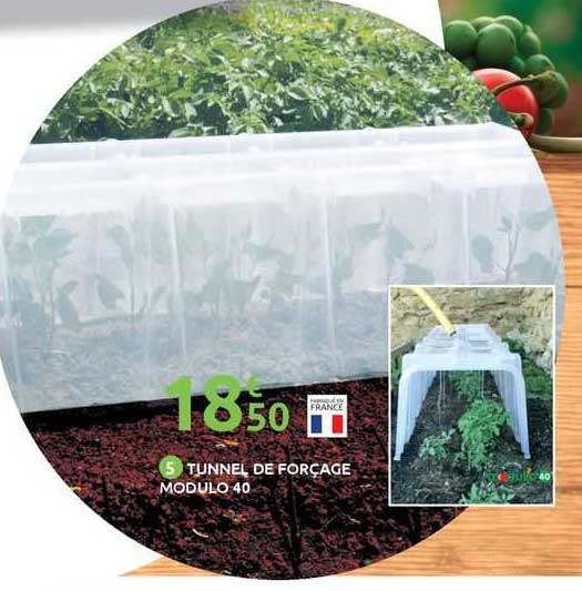 tunnel de forçage modulo 40