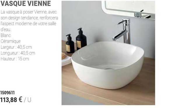 vasque vienne