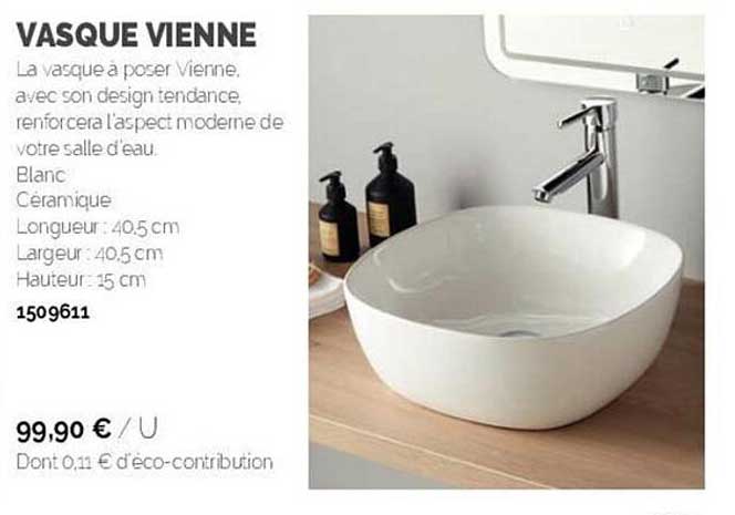 vasque vienne