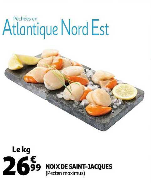 Noix De Saint-jacques