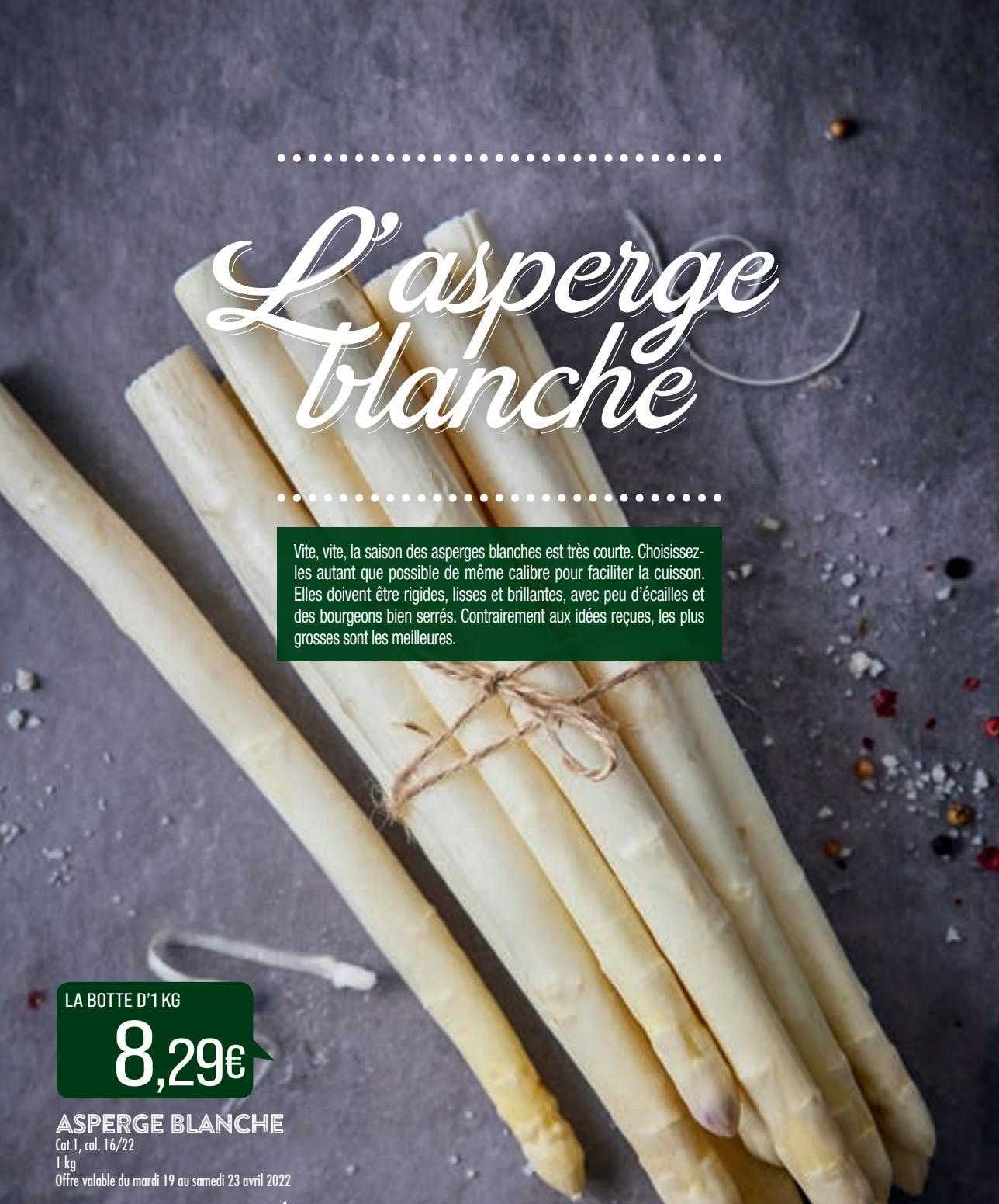 asperge blanche