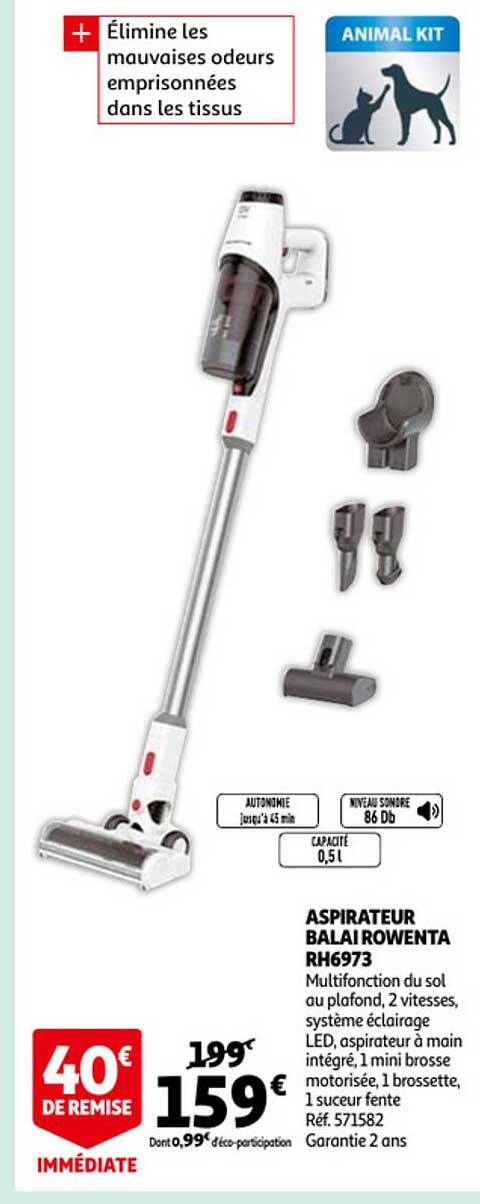 Aspirateur Balai Rowenta