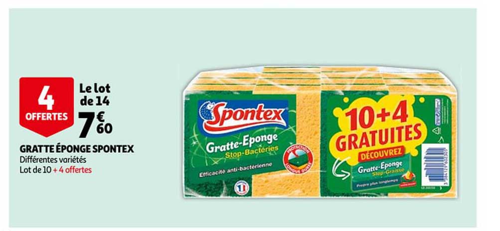 gratte éponge spontex