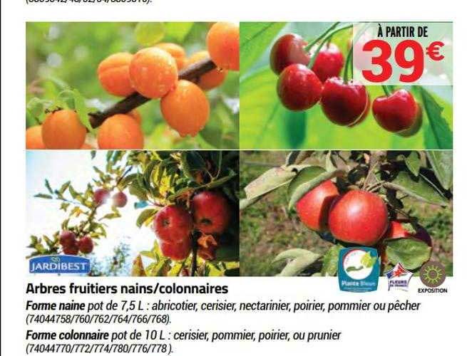 arbres fruitiers nains-colonnaires jardibest