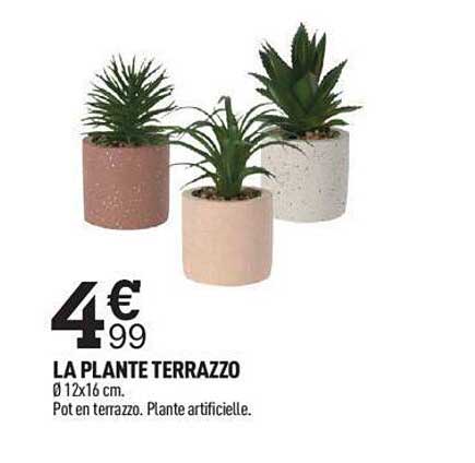 la plante terrazzo