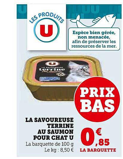 la savoureuse terrine au saumon pour chat u
