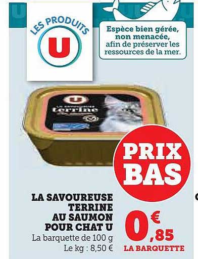 la savoureuse terrine au saumon pour chat u