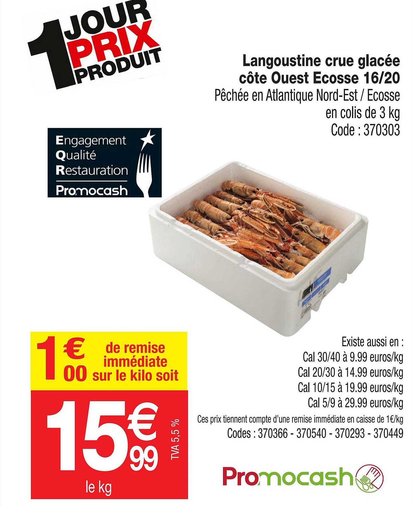 langoustine crue glacée côte ouest écosse 16-20