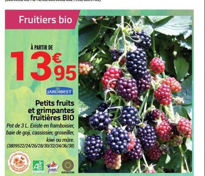 petits fruits et grimpantes fruitières bio jardibest