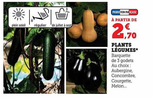 plants légumes