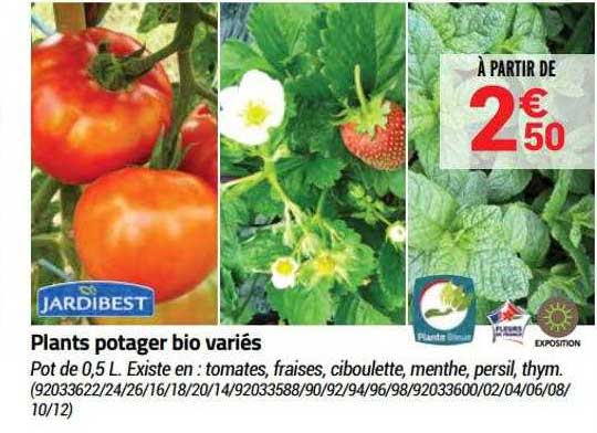 plants potager bio variés jardibest