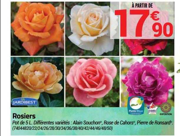 rosiers jardibest