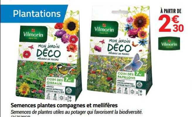 Semences Plantes Compagnes Et Mellifères