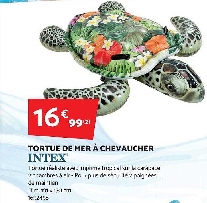 tortue de mer à chevaucher intex