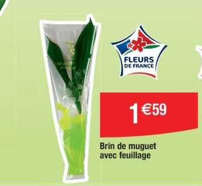 brin de muguet avec feuillage