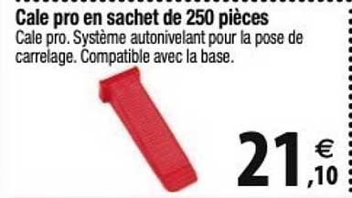 cale pro en sachet de 250 pièces