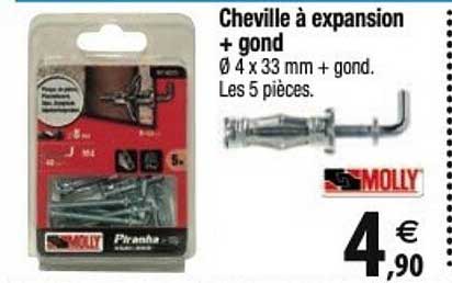 cheville à expansion + gond molly