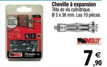 cheville à expansion molly