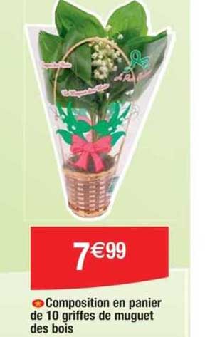 composition en panier de 10 griffes de muguet des bois