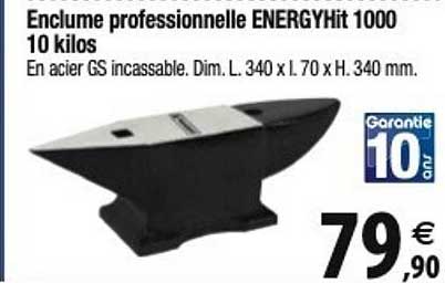 enclume professionnelle energyhit 1000 10 kilos