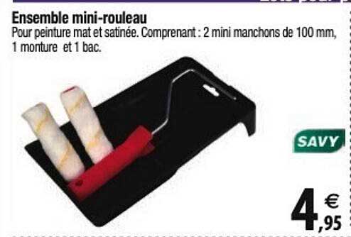 ensemble mini-rouleau savy