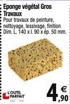 éponge végétal gros travaux l'outil parfait