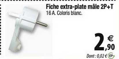 fiche extra-plate mâle 2p+t
