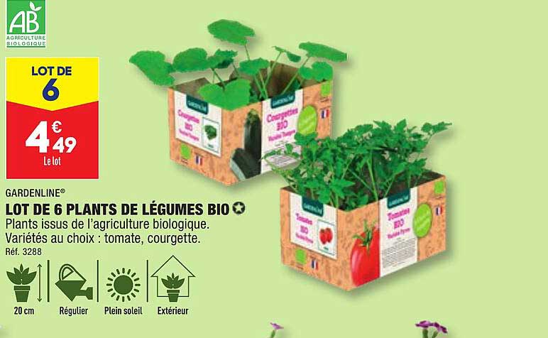 gardenline lot de 6 plants de légumes bio