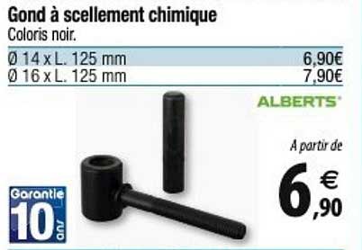 gond à scellement chimique