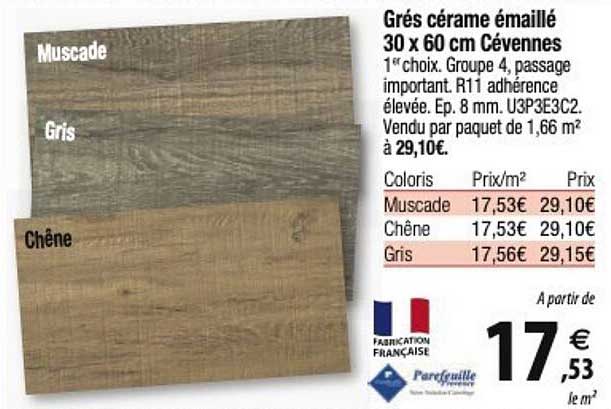 grés cérame émaillé 30 x 60 cm cévennes