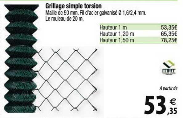 Grillage Simple Torsion