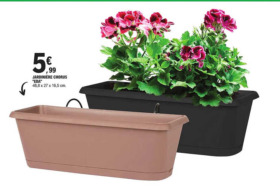 jardinière chorus "eda"