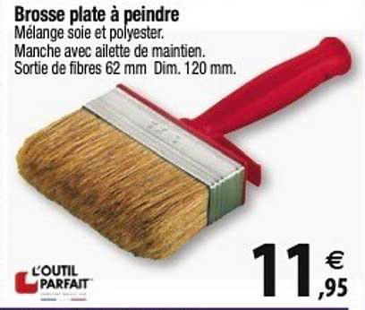 l'outil parfait brosse plate à peindre