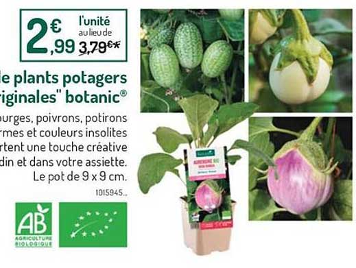 le plants potagers originales botanic