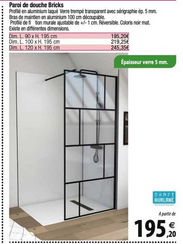 paroi de douche bricks