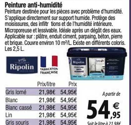 peinture anti-humidité