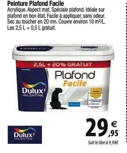 Peinture Plafond Facile Dulux Valentine